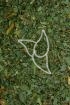 Bärlauchkraut Tropfen - Tinktur - Herba Allii ursini tinctura