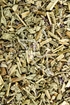 Blutweiderichkraut Tropfen - Tinktur - Herba Salicariae tinctura