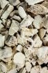 Drachenknochen Tropfen - Tinktur - Mastodi fossilia ossis tinctura