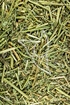 Erect Milkvetch Tropfen - Tinktur - Herba Astragali adsurgens tinctura