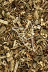 Fetthennenkraut Tropfen - Tinktur - Herba sedum telephium tinctura