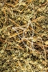 Fingerstrauchkraut Tropfen - Tinktur - Herba Dasiphorae fruticosae tinctura