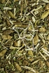 Gewöhnliche Spitzklette Tropfen - Tinktur - Herba Xanthii strumarii tinctura