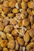 Ginkgosamen Tropfen - Tinktur - Semen Ginkgo tinctura