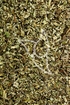 Habichtskraut Tropfen - Tinktur - Herba Pilosellae tinctura