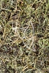 Jiao Gu Lan Tropfen - Tinktur - Herba Gymnostemmae pentaphyllum tinctura - Hier Bestellen!