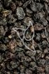 Johannisbeere, schwarz Tropfen - Tinktur - Fructus Ribis nigri tinctura