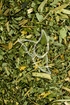 Kapuzinerkresse Tropfen - Tinktur - Herba Tropaeoli tinctura