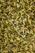 Kreosotbuschkraut Tropfen - Tinktur - Herba Larreae mexicana tinctura