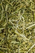 Langblättriges Hasenohr Tropfen - Tinktur - Herba Bupleuri longifoliae tinctura