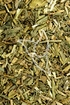 Luzernenkraut Tropfen - Tinktur - Herba Medicago sativa tinctura