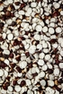 Makanasternsamen Tropfen - Tinktur - Semen Euryales tinctura