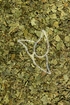 Neembaumblätter Tropfen - Folia Azadirchatae indicae tinctura