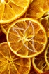 Orangenscheiben Tropfen - Tinktur - Fructus Aurantii dulce tinctura