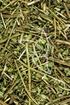 Osterluzei Tropfen - Tinktur - Herba Aristolichiae clematitis tinctura