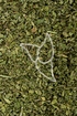 Poleiminze Tropfen - Tinktur - Herba Pulegi tinctura