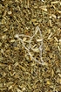 Reiherschnabelkraut Tropfen - Tinktur - Herba Erodii tinctura