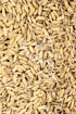 Reis gekeimt Tropfen - Tinktur - Fructus Oryzae germinatus tinctura