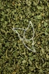 Rucolakraut Tropfen - Tinktur - Herba Eruca sativa tinctura