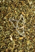 Scharbockskraut Tropfen - Tinktur - Herba Ficariae tinctura
