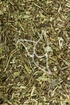Schmalblättrige Wiesenraute Tropfen - Tinktur - Herba Thalictri simplex tinctura
