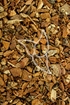 Schneeballbaumrinde Tropfen - Tinktur - Cortex Viburni tinctura