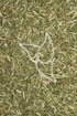 Steinkleekraut Tropfen - Tinktur - Herba Meliloti tinctura