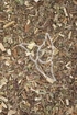 Wasserdostkraut Tropfen - Tinktur - Herba Eupatorii cannabini tinctura