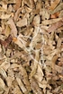 Wollmispelblätter Tropfen - Tinktur - Folia Eriobotryae tinctura