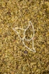 Zitronenmyrtenblätter Tropfen - Tinktur - Folia Leptospermii petersonii tinctura